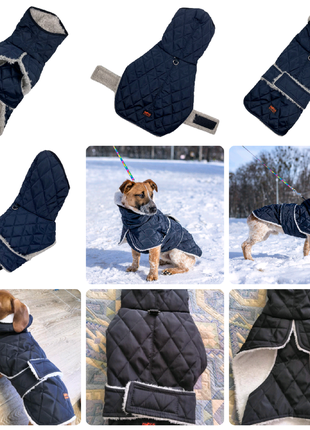 Зимний жилет для собак на синтепоне подклад флис унисекс1 фото