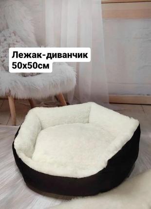 Лежак-диванчик 50х50см для котiв та собак + подарунок!1 фото