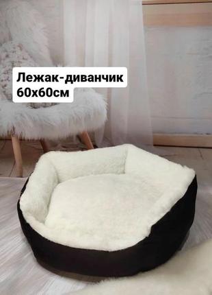 Лежак-диванчик 60x60см для котiв та собак + подарунок!1 фото