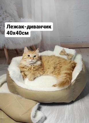 Лежак-диванчик 40х40см для котiв та собак + подарунок!1 фото