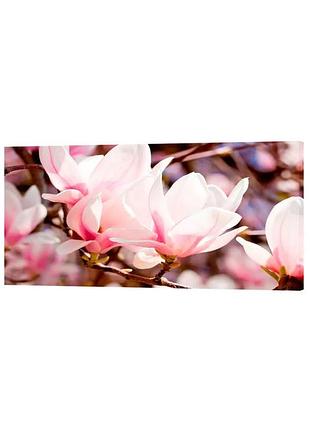 Картина на холсте на стену для интерьера/спальни/офиса dk цветы магнолии (dkp4560-c558)