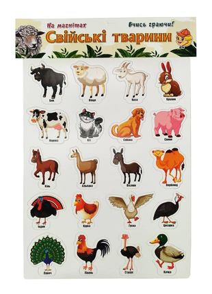 Набір магнітів "домашні тварини" artos 1243ats укр. 20 шт.