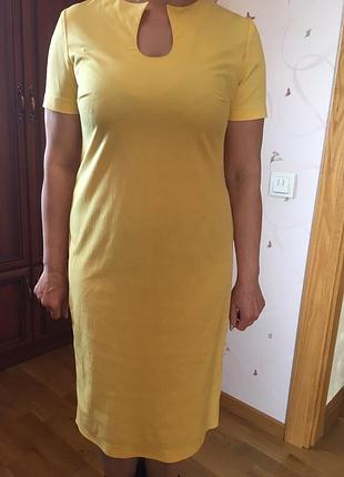 Катонове платя