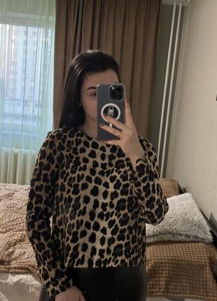 Кофта- блузка