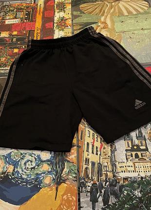 Шорты мужские adidas с лампасами