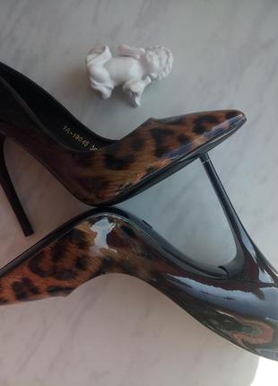 Туфлі2 фото