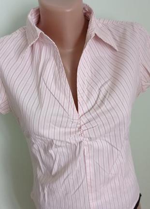 Блуза блузка сорочка рубашка2 фото