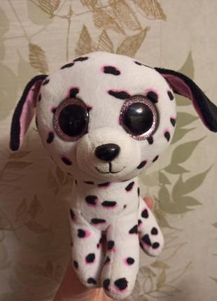Глазистик beanie boo от ty собачка