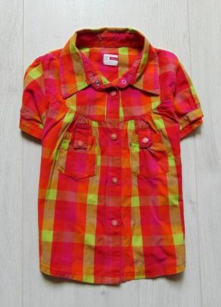 Яскрава блуза для дівчинки. name it. розмір 5-6 років