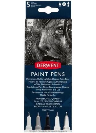 Набор цветных ручек paint pen palette №4 5шт derwent