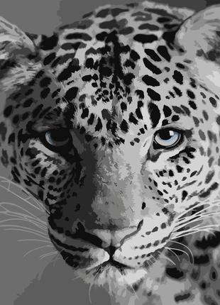 Картина за номерами strateg преміум леопард з лаком та рівнем розміром 40х50 см (sy6668)