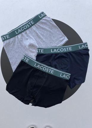 Мужские трусы lacoste набор 3 шт на подарок1 фото