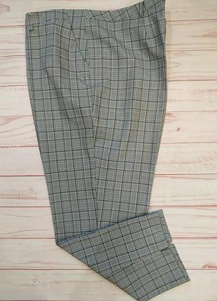 Штани в клітинку батал