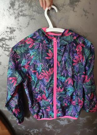 Вітровка легенька