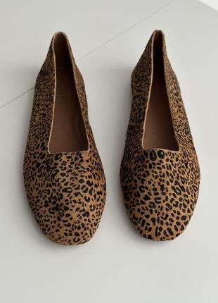 Балетки леопардовые туфли3 фото