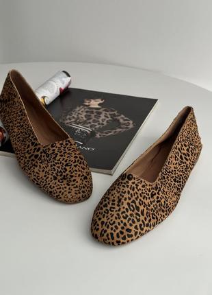 Балетки леопардовые туфли5 фото