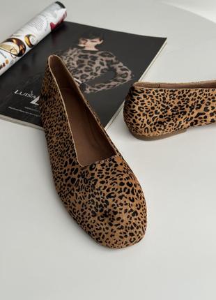 Балетки леопардовые туфли4 фото