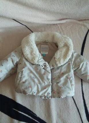 Курточка+шапочка