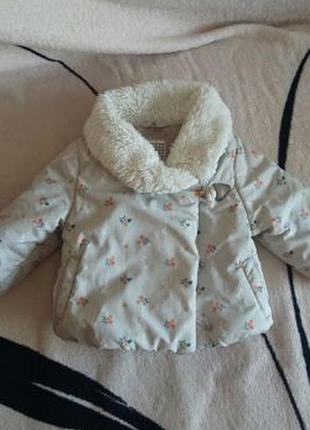 Курточка+шапочка 2