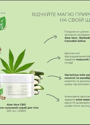 Aloe vera cbd скраб-олія для тіла.