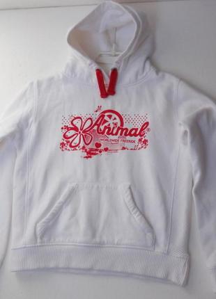 Animal. белая толстовка на баечке с капюшоном. м - l размер.