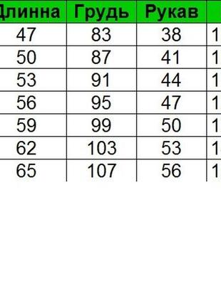 Дитяча зимова лижна куртка