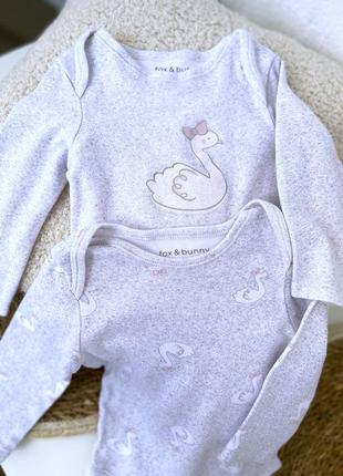 Набор бодиков с рукавом 2