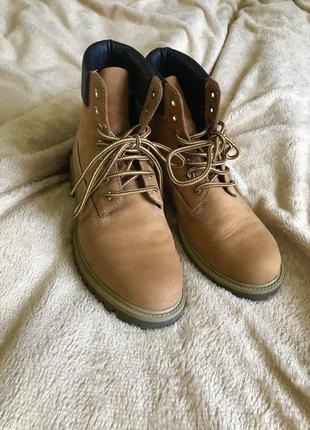 Черевики типу timberland