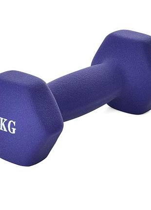 Гантель 2 кг profi 1 шт. фиолетовая
