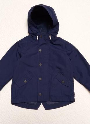 Вітровка, куртка