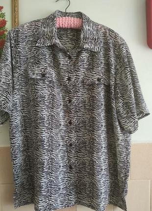 Кофтинка-зебра, великий розмір