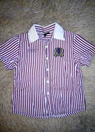 Сорочка сорочка next