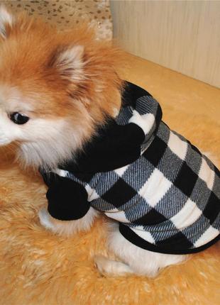 Одежда для собак. осенне-весеннее худи с капюшоном на флисе черно-белая клетка m04601 фото
