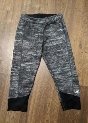 Оригінальні жіночі  шорти-бриджі для фітнесу та спорту adidas сірий меланж бриджи лосіни