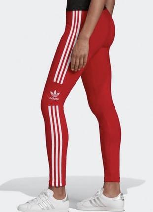 Лосины для спорта adidas