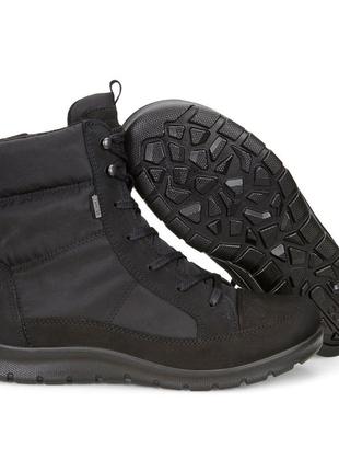 Ботинки женские зимние  ecco babett boot 215553 120014 фото