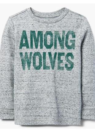 Термореглан для хлопчика 5-7 років gymboree