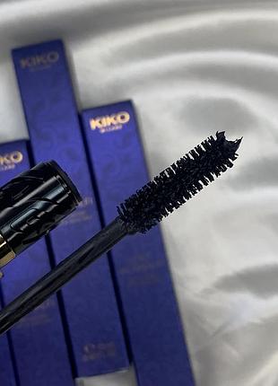 Туш кіко