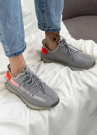 Кроссовки adidas yeezy boost 350 tail light