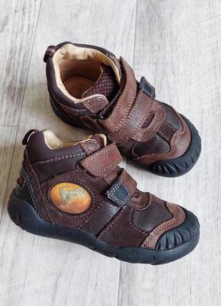 Шкіряні черевички clarks, 24 розмір,  в'єтнам