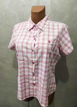 404. притягивающая хлопковая рубашка с коротким рукавом британского бренда regatta.4 фото