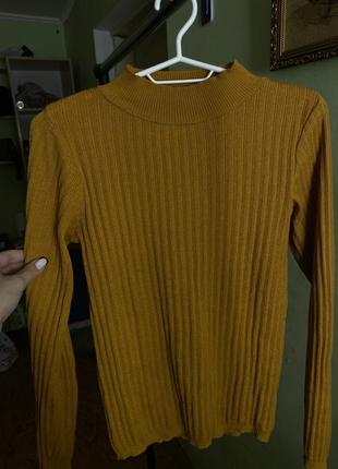 Врдолазка горчичная / на весну осень