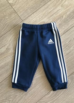 Спортивные штанишки adidas1 фото