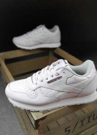 Reebok classic белые sin