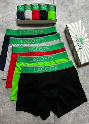 Чоловічі труси lacoste набір 5 штук у коробці на подарунок хлопцеві / чоловікові