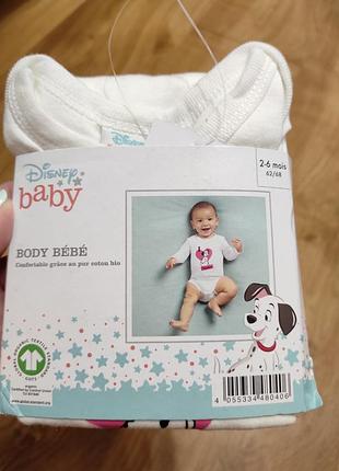 Боди, бодик