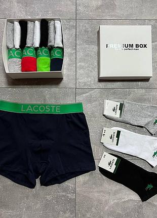 Труси + шкарпетки lacoste набір чоловічі / комплект на подарунок