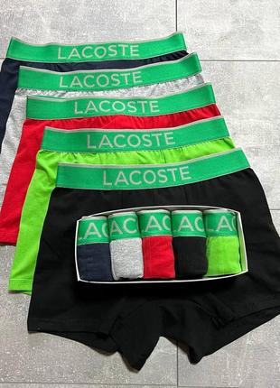 Труи в стиле lacoste3 фото