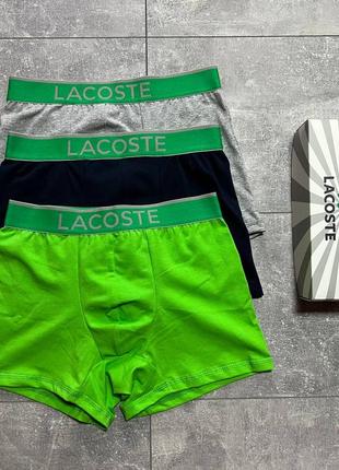 Труси в стилі lacoste1 фото