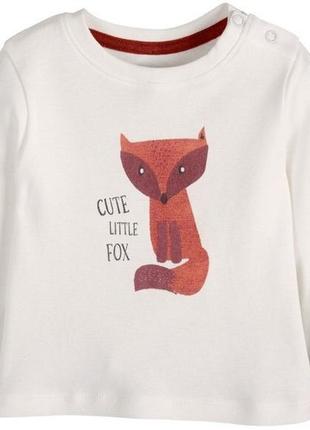 Симпатичный регланчик для мальчика ф. lupilu {германия}